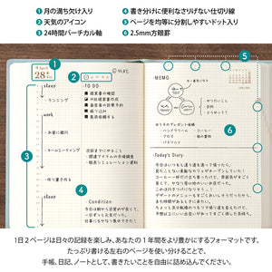 Midori 2025 Hibino A6 Daily Planner - Blue-Green