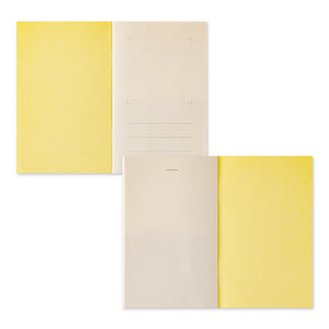 Midori Sticker Book - Yellow