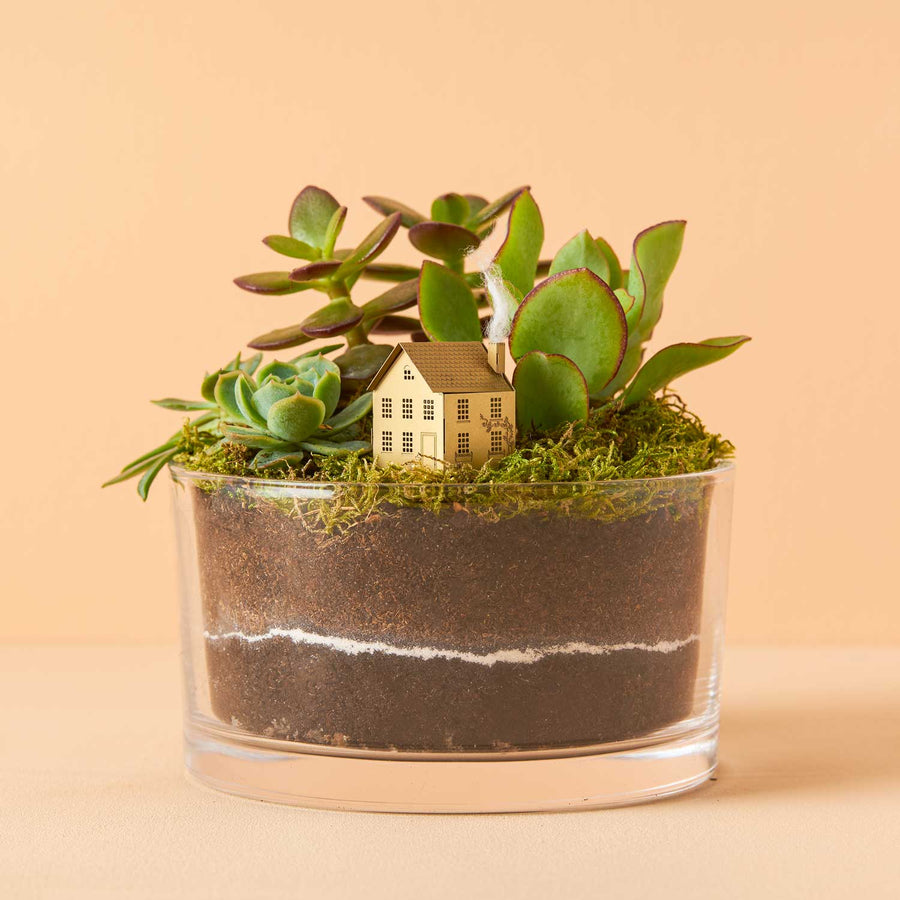 Another Studio - Mini Model House - Terrarium decoration DIY kit